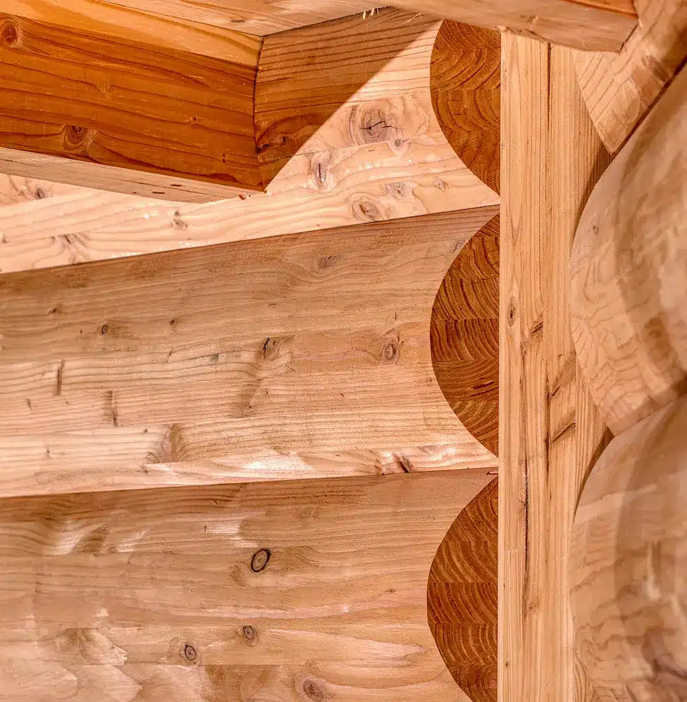 Détail constructif d’un assemblage d’angle en rondins profilés, entailles visibles, structure bois MONOLOG